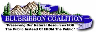 BlueRibbon Coalition