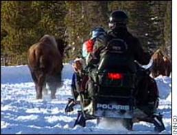 snowmobiles